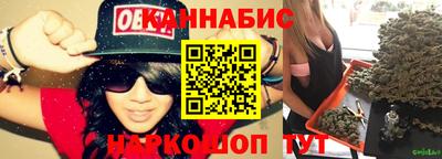тгк Кингисепп