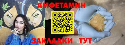 тгк Кингисепп