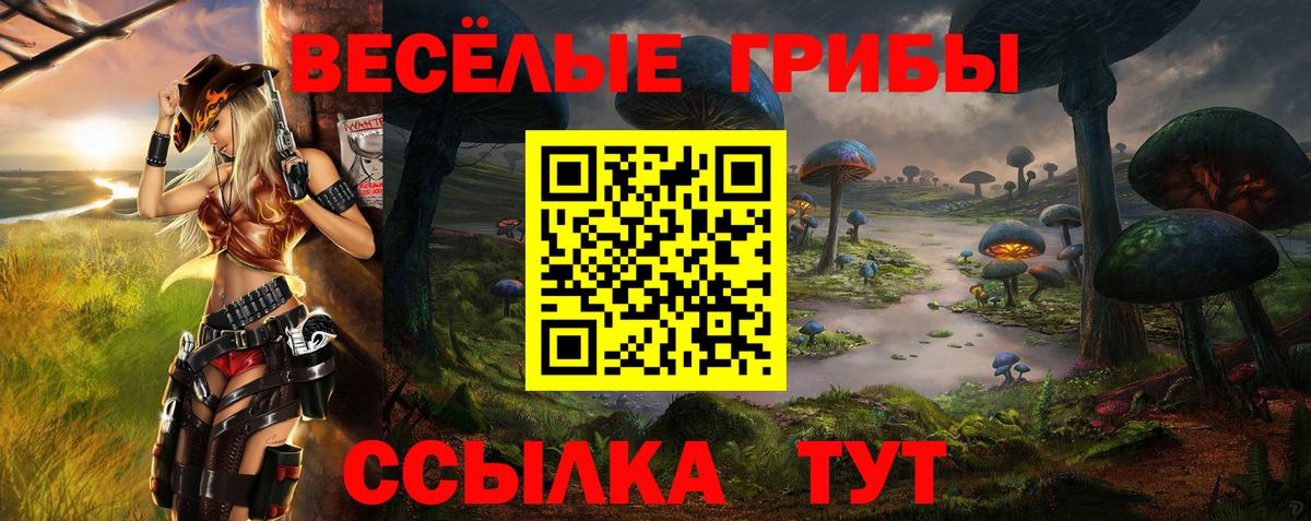 Галлюциногенные грибы Cubensis  Вход с VPN  Псилоцибиновые грибы мухоморы  где купить   Кубинка 